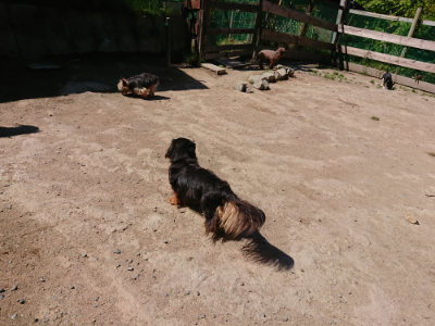 f:id:roukenhome-ann:20190509135507j:plain