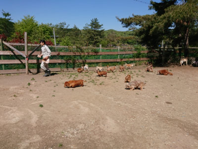 f:id:roukenhome-ann:20190509135527j:plain