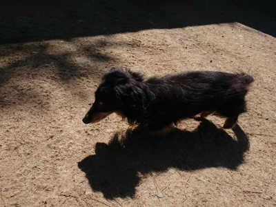 f:id:roukenhome-ann:20190509135532j:plain
