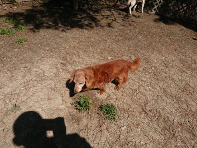 f:id:roukenhome-ann:20190509135546j:plain