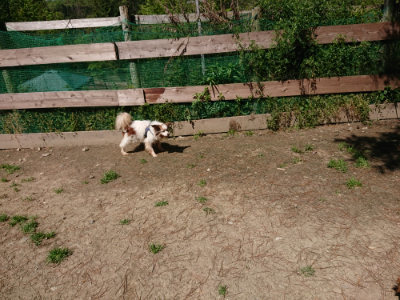 f:id:roukenhome-ann:20190509135605j:plain