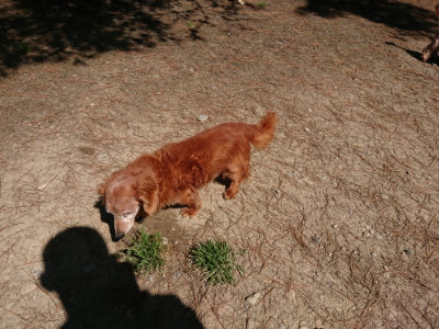 f:id:roukenhome-ann:20190509135611j:plain