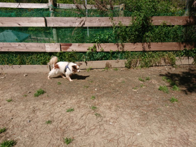 f:id:roukenhome-ann:20190509135634j:plain
