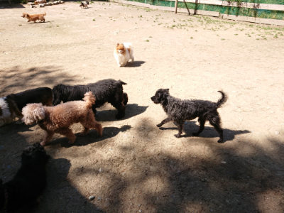 f:id:roukenhome-ann:20190509135643j:plain