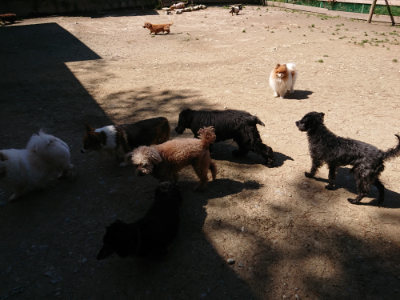 f:id:roukenhome-ann:20190509135658j:plain