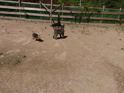 f:id:roukenhome-ann:20190509135725j:plain