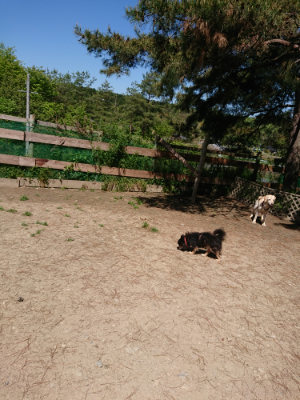 f:id:roukenhome-ann:20190509135739j:plain