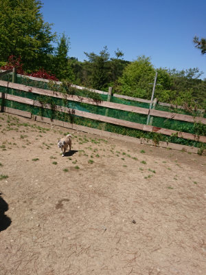f:id:roukenhome-ann:20190509135812j:plain