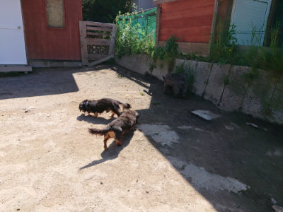 f:id:roukenhome-ann:20190509135818j:plain