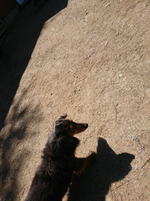 f:id:roukenhome-ann:20190509135823j:plain