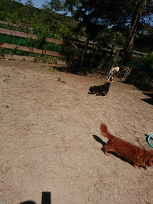 f:id:roukenhome-ann:20190509135827j:plain