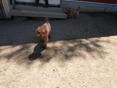 f:id:roukenhome-ann:20190509135830j:plain
