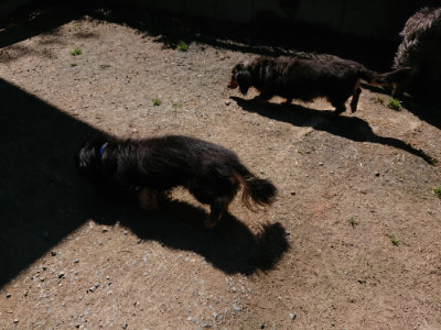 f:id:roukenhome-ann:20190509135839j:plain