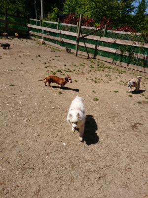 f:id:roukenhome-ann:20190509135900j:plain