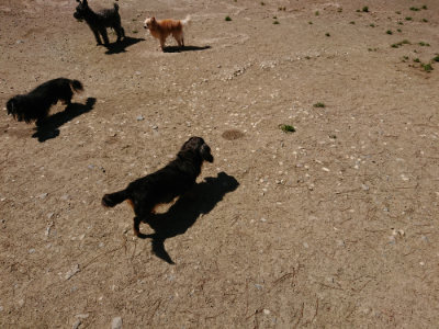 f:id:roukenhome-ann:20190509135905j:plain