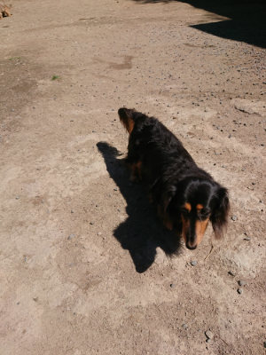 f:id:roukenhome-ann:20190509135920j:plain