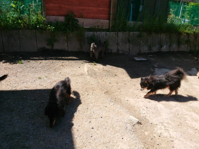 f:id:roukenhome-ann:20190509135925j:plain