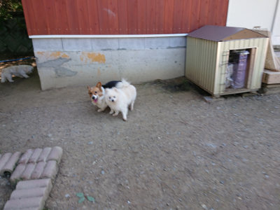 f:id:roukenhome-ann:20190509140652j:plain