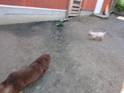 f:id:roukenhome-ann:20190509140707j:plain