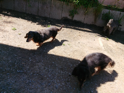 f:id:roukenhome-ann:20190509140714j:plain