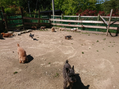f:id:roukenhome-ann:20190509140734j:plain