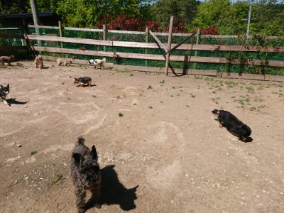 f:id:roukenhome-ann:20190509140739j:plain