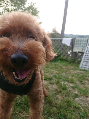 f:id:roukenhome-ann:20190509140749j:plain
