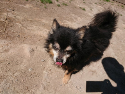 f:id:roukenhome-ann:20190509140754j:plain