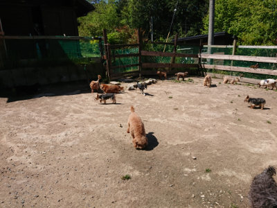 f:id:roukenhome-ann:20190509140759j:plain