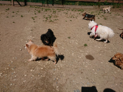 f:id:roukenhome-ann:20190509140803j:plain