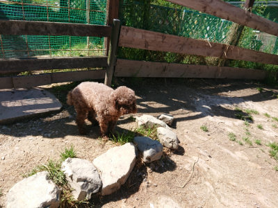f:id:roukenhome-ann:20190509140808j:plain
