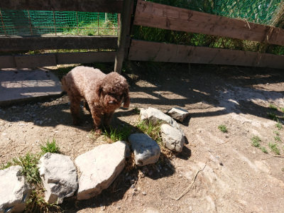 f:id:roukenhome-ann:20190509140813j:plain