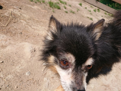 f:id:roukenhome-ann:20190509140821j:plain