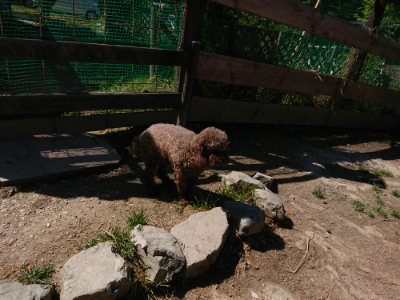 f:id:roukenhome-ann:20190509140826j:plain