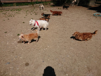 f:id:roukenhome-ann:20190509140831j:plain
