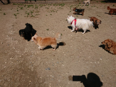 f:id:roukenhome-ann:20190509140837j:plain