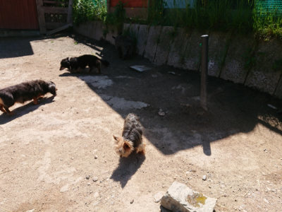 f:id:roukenhome-ann:20190509140841j:plain