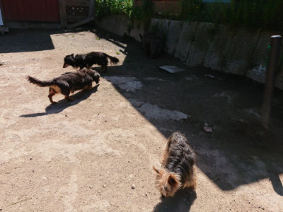 f:id:roukenhome-ann:20190509140847j:plain