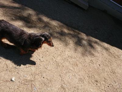 f:id:roukenhome-ann:20190509140855j:plain