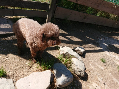 f:id:roukenhome-ann:20190509140902j:plain