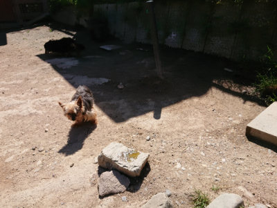 f:id:roukenhome-ann:20190509140908j:plain