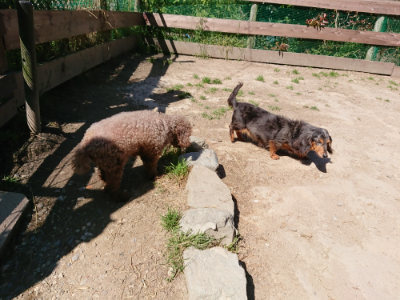 f:id:roukenhome-ann:20190509140918j:plain
