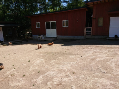 f:id:roukenhome-ann:20190509140922j:plain