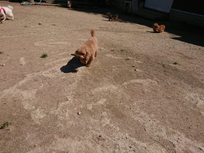 f:id:roukenhome-ann:20190509140929j:plain