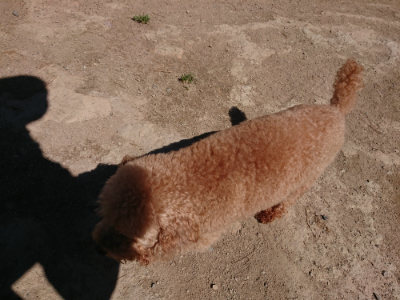 f:id:roukenhome-ann:20190509140934j:plain