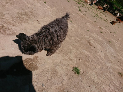 f:id:roukenhome-ann:20190509140939j:plain