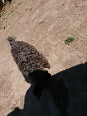 f:id:roukenhome-ann:20190509140943j:plain