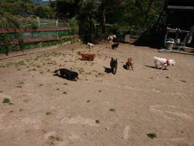 f:id:roukenhome-ann:20190509140948j:plain