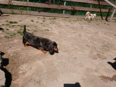f:id:roukenhome-ann:20190509140953j:plain