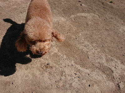 f:id:roukenhome-ann:20190509141002j:plain